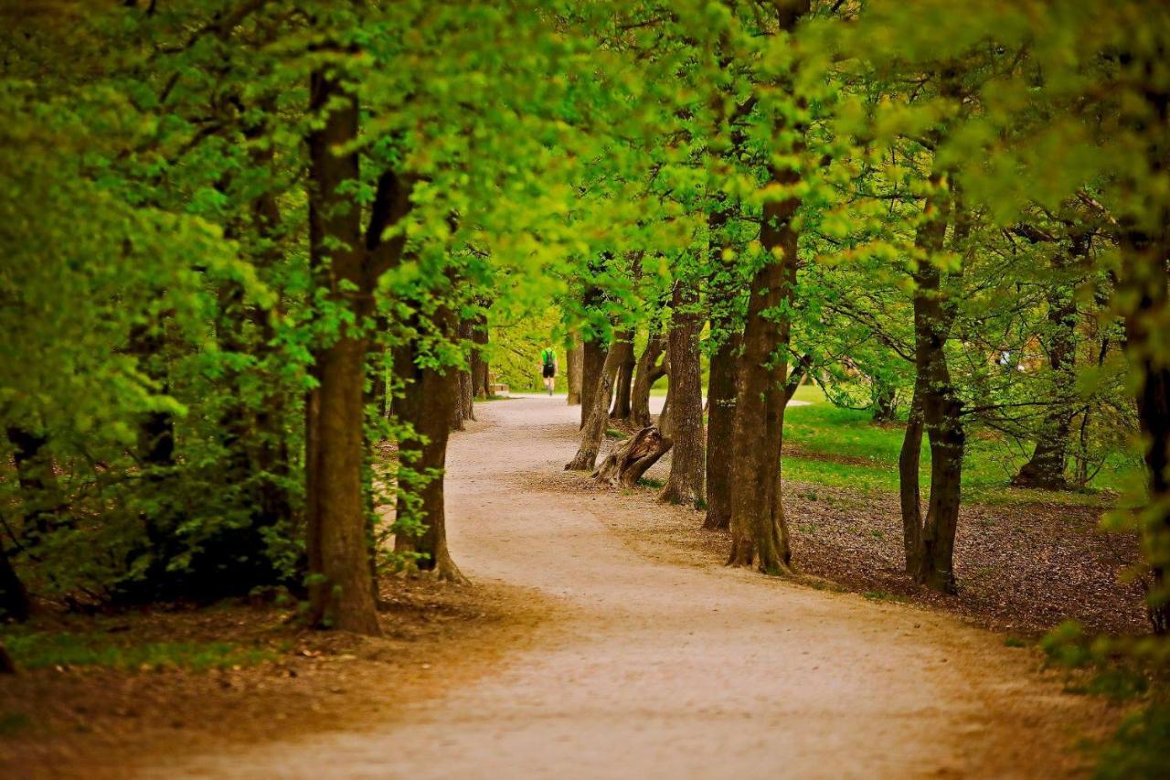 Romantic Two Bedroom Apartments In The Hills Of Budapest With Private Parking Luaran gambar