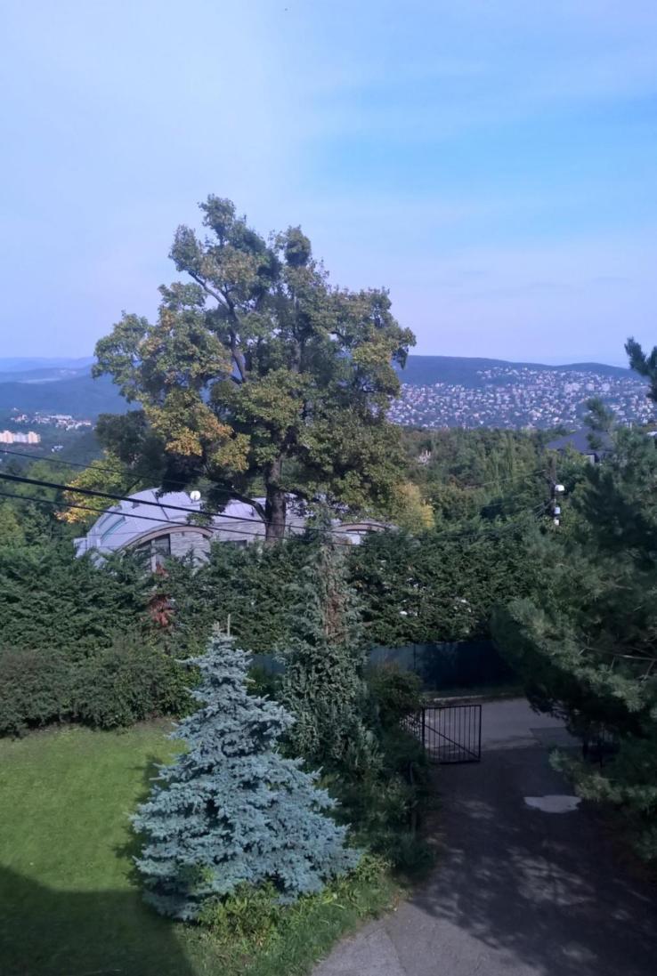 Romantic Two Bedroom Apartments In The Hills Of Budapest With Private Parking Luaran gambar